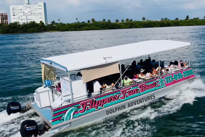 !! Flippers Fun Boat !! Dolphin Adventure Clearwater Beach! - Dolphin Sightings and Marine Life Encounters