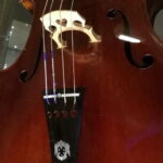 Florence: 1-hour Accademia Gallery guided experience with entrance tickets - Priority Skip-the-Line Entrance and Private Group Experience