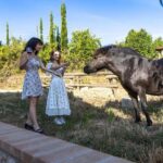 Florence: Cooking Class on a Traditional Tuscan Farm - Exploring the Cheese and Winemaking Rooms at the Farm