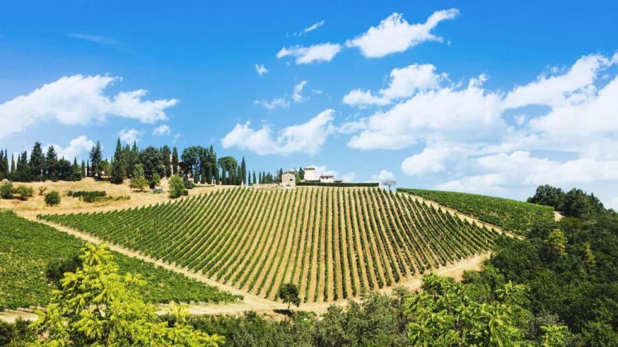 Florence Countryside 2.5h Premium E-Bike Tour + Photo Shoot - The Starting Point at Piazza Ognissanti