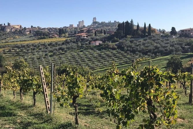 Florence Day Trip to Volterra and San Gimignano - Discovering Volterra: An Etruscan Time Capsule
