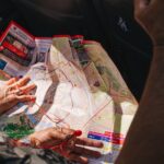 Florence Hop On Hop Off Shore Excursion from Livorno - Exploring Florence with the City Sightseeing Bus