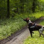 Florence: Tuscany Truffle Hunt Culinary Adventure Tour - From Florence to the Enchanting Tuscan Hills