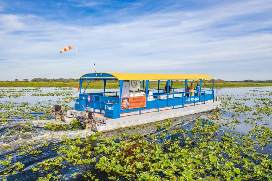 Florida: 90 Minute Everglades Cruise - What Makes the 90-Minute Everglades Cruise Unique