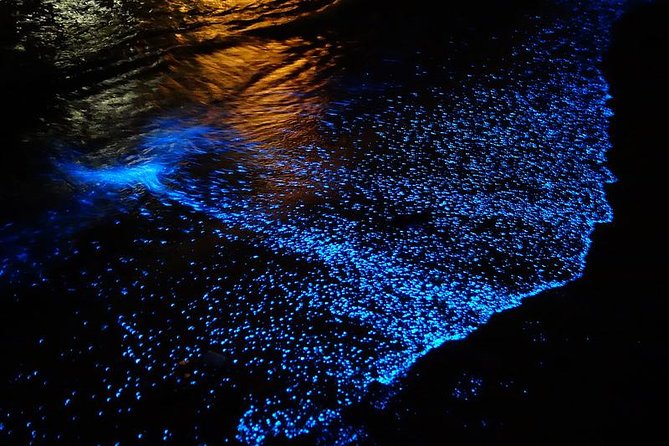 Florida Bioluminescence Kayaking Tour (Titusville) - Starting Point at Haulover Canal for Easy Access