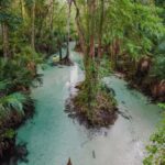 Florida: Emerald Cut Kayak Adventure - Exploring the Lush Jungle Scenery in the Wekiva River Basin