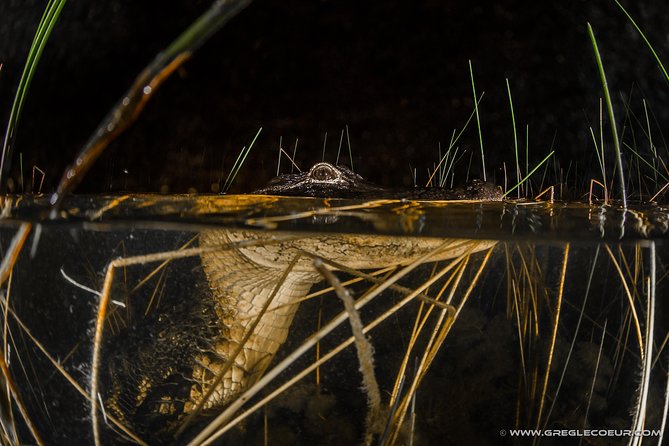 Florida Everglades Night Airboat Tour near Fort Lauderdale - Meeting at Sawgrass Recreation Park in Weston