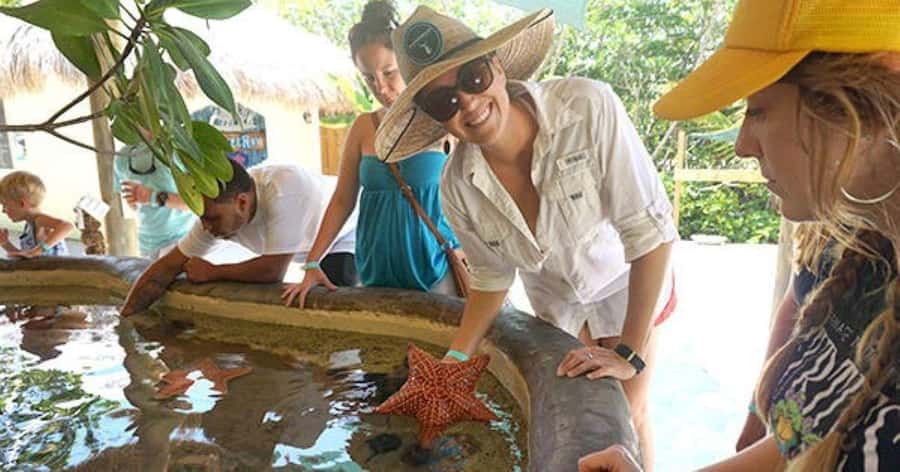 Florida Keys: Aquarium Encounters Day Tour with Lunch - Convenient Hotel & Vacation Rental Pickup in Key West