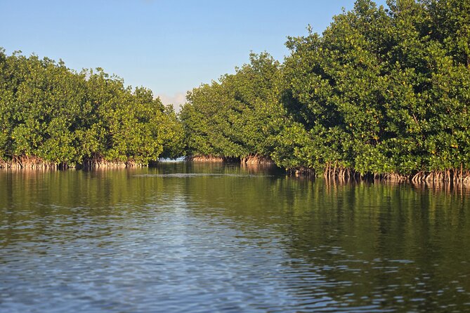 Florida Keys Kayak And Paddleboard Rentals - Location and Meeting Point in Key West