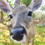 Florida Keys Nature & History Tour from Key West - From the Overwater Bridges to Bahia Honda State Park