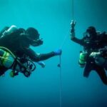 Florida Keys: Scuba Diving & Snorkeling Reef Trip - What to Expect at Molasses Reef and Dry Rocks