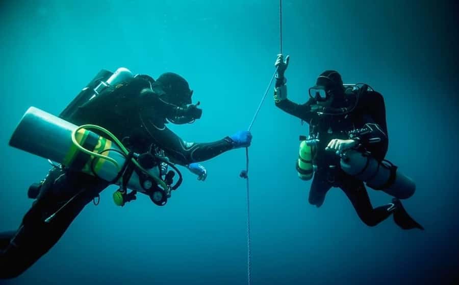 Florida Keys: Scuba Diving & Snorkeling Reef Trip - What to Expect at Molasses Reef and Dry Rocks