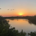 Florida Sunset and Bioluminescence Package - The Bioluminescence Experience