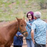 Florissant: Private Horse Experience with Rescue Mustangs - The Private Setting in Florissant Offers an Intimate Mountain Experience