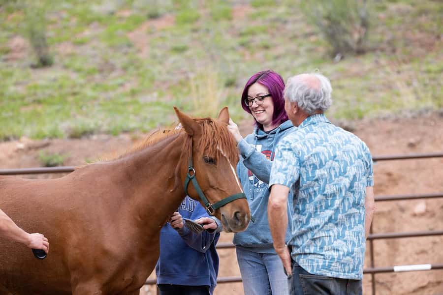 Florissant: Private Horse Experience with Rescue Mustangs - The Private Setting in Florissant Offers an Intimate Mountain Experience