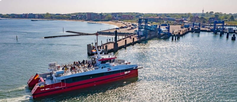 Föhr: Boat trip to the seals - Departing from Wyk on Föhr for a Marine Ecosystem Tour