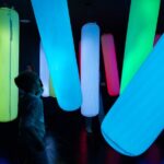 Foko Immersive Gallery Ticket - Discover the Artful Spaces at Foko Gallery