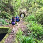 Folhadal Hidden Treasures Running Tour (Moderate) - Starting Point at Pestana CR7 in Funchal