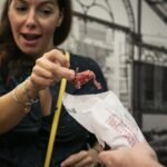 Food and Market Tapas Tour - Exploring Santa Caterina Market in Barcelona