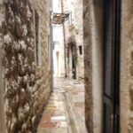 Food, wine and the best private walking tour of Kotor - Visiting the Kotor Farmers Market: Fresh Flavors and Local Life