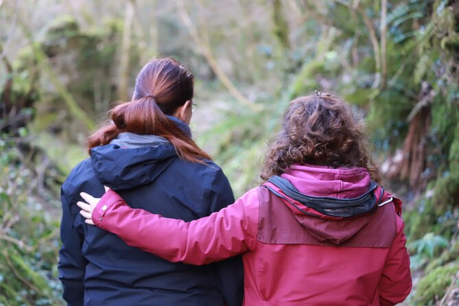 Forest Bathing in Tuscany with Wild Crafted Tea - Starting Point: Mochignano di Sotto in Tuscany