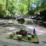 Forest Bathing & Nature Therapy Mini-Retreat - What to Expect During the Guided Forest Walk