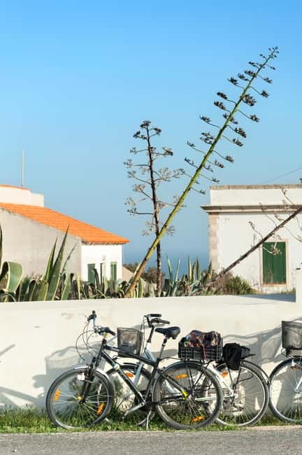 Formentera: discover our fast ferry + bike package - Renting a Touring Bike at La Savina Port