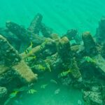 Fort Lauderdale: Ocean Reef Snorkel Tour w/ Snacks & Drinks - Safety and Equipment: High-Quality Gear and Clear Instructions