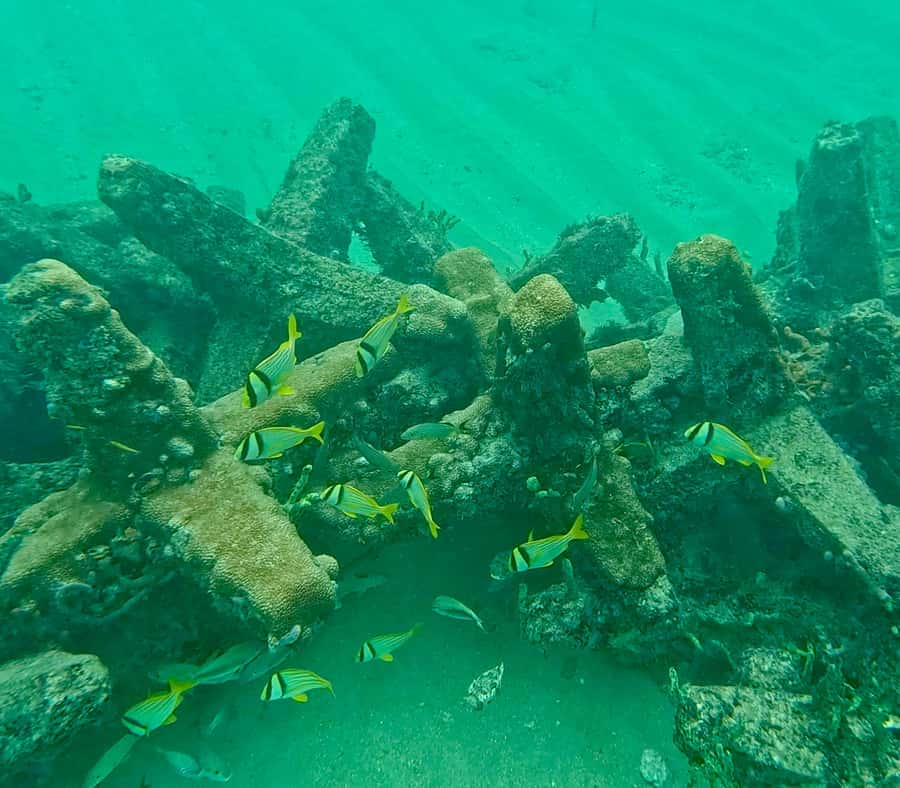 Fort Lauderdale: Ocean Reef Snorkel Tour w/ Snacks & Drinks - Safety and Equipment: High-Quality Gear and Clear Instructions