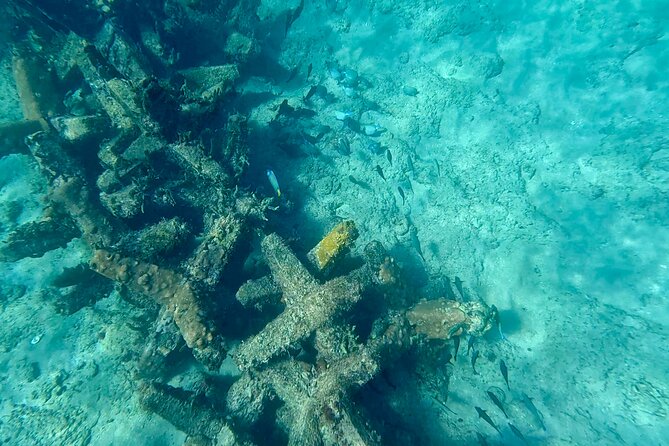 Fort Lauderdale: Ocean Reef Snorkeling Tour w/ Snacks & Drinks - Starting Point at Dania Beach for Easy Access