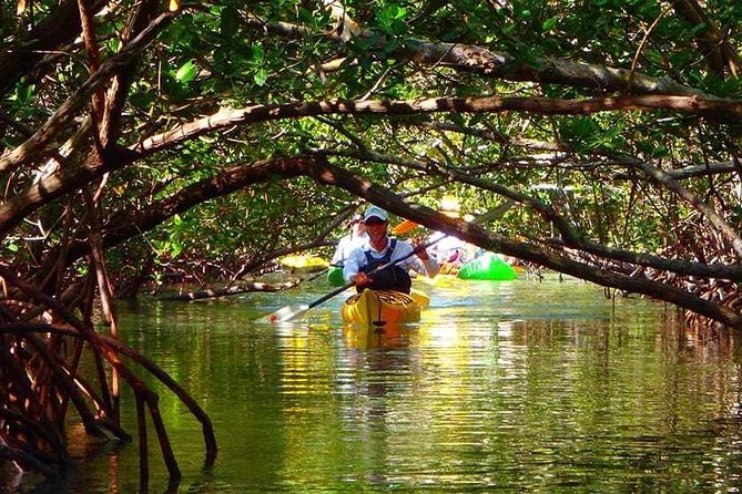 Fort Lauderdales Tropical Kayak Tour and Island Adventure - Starting Point and Tour Duration in Fort Lauderdale