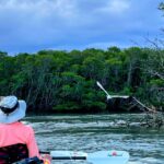 Fort Pierce: 4-hr Mangroves & Dolphin Watch Sandbar in FL - Exploring the Mangrove Passageways and Flats