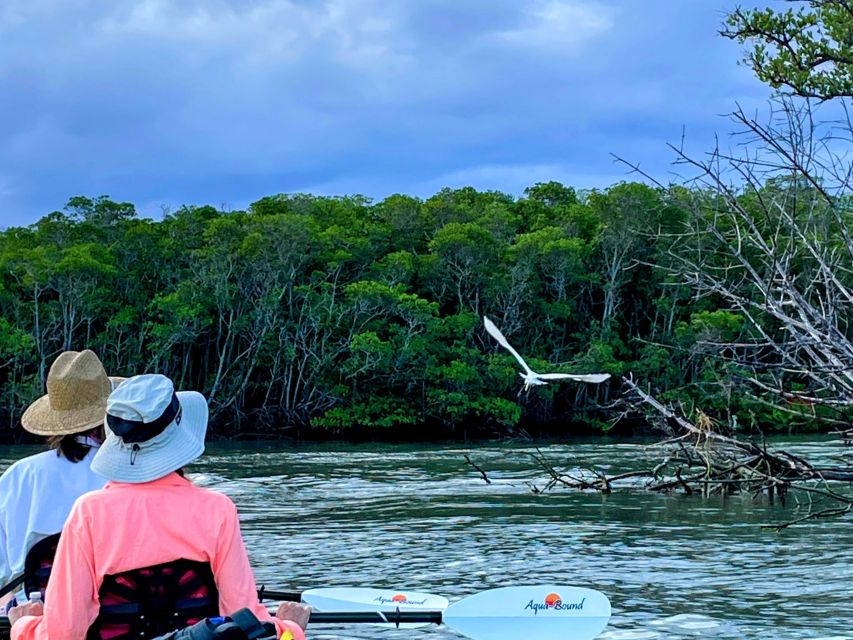 Fort Pierce: 4-hr Mangroves & Dolphin Watch Sandbar in FL - Exploring the Mangrove Passageways and Flats