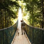 Foxfire Mountain: Hiking & Swinging Bridge Family Adventure - Tree-Top Adventures and Canopy Tours