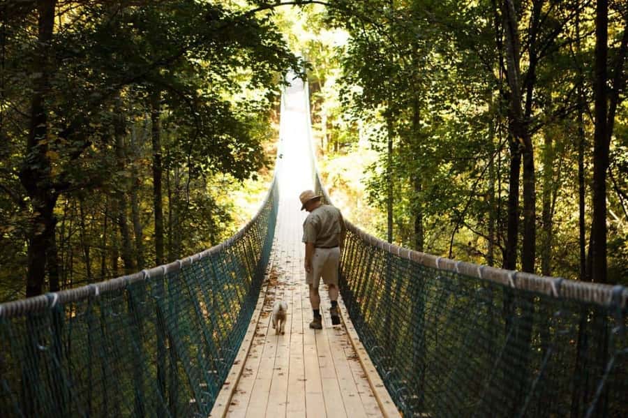 Foxfire Mountain: Hiking & Swinging Bridge Family Adventure - Tree-Top Adventures and Canopy Tours