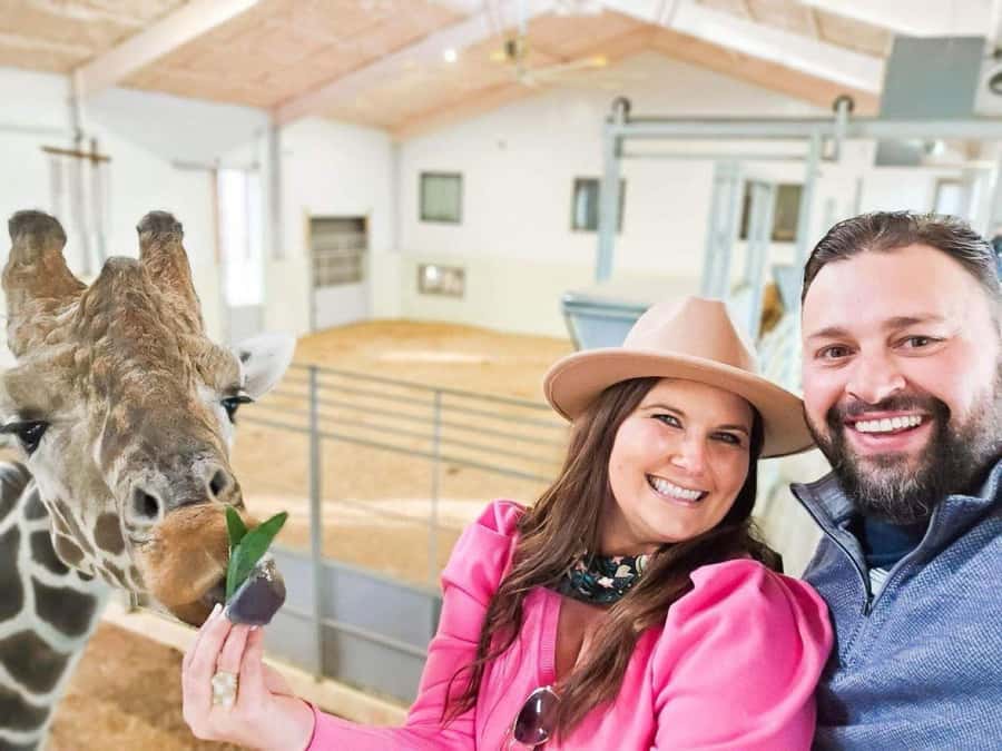 Fredericksburg: Longneck Manor Animal Encounter - Close Encounters with Giraffes and Rhinos in Fredericksburg