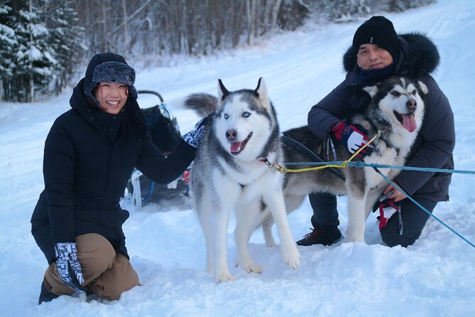 Free Pickup/Drop off: Alaskan Husky Dog Sledding with Free Photo - The Dog Sledding Trail and Scenic Views