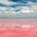Free Yourself at Las Coloradas Natural Pink Lake! Tour from Playa Del Carmen - Pickup and Transportation from Playa del Carmen