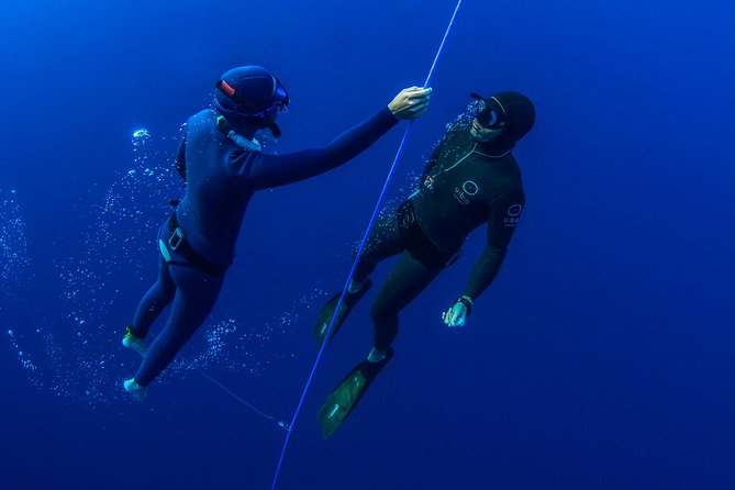Freediving Training - The Instructors and Their Expertise