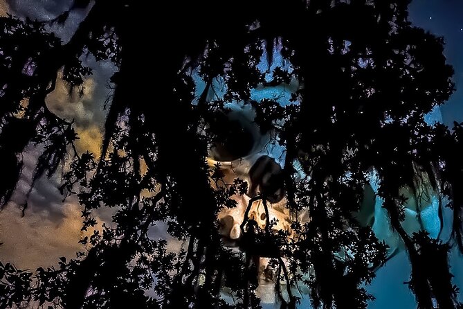 French Quarter True Crime Walking Tour - Meet at the Vampire Apothecary and Start the Ghostly Journey