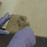 Fresco Painting Class in Florence - The Technique Behind Florence’s Famous Frescoes