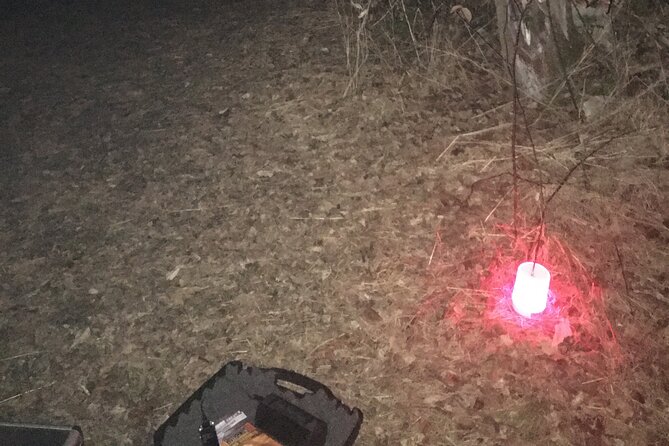 Fright Night Investigation: Small Group St. Augustine - Who Should Consider Joining This Investigation?