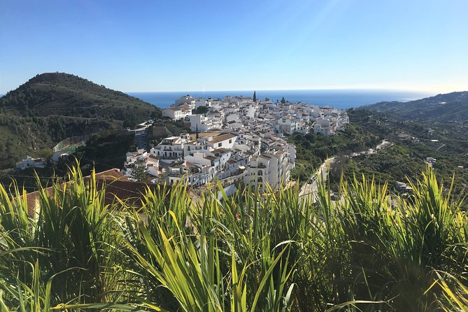 Frigiliana Small-Group Hike and Wine Tasting Tour from Malaga - Guided Walk to Spectacular Viewpoints