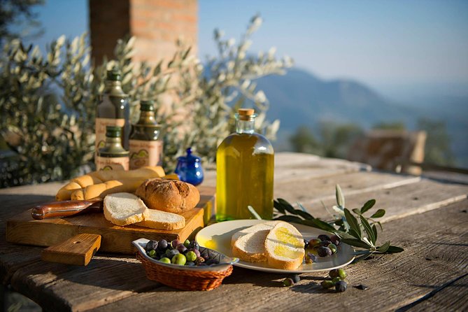 From Abano Montegrotto Olive Oil & Wine in the Euganean Hills - Starting Point at the Abano Montegrotto Spas