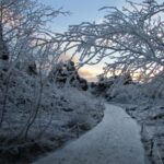 From Akureyri: Godafoss and Lake Myvatn - Visiting Goðafoss Waterfall: Iceland’s Famous Cascade