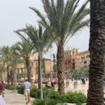 From Albir, Altea, Benidorm & Calpe: Valencia City Excursion - Convenient Departure and Return from the Costa Blanca