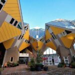 From Amsterdam: Rotterdam to The Hague and Delft - Rotterdam’s Markthal and Waterfront Charm