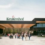 From Amsterdam: VIP Keukenhof Tulip Tour with Private Driver - Exploring Keukenhof’s Tulip Displays at Your Own Pace