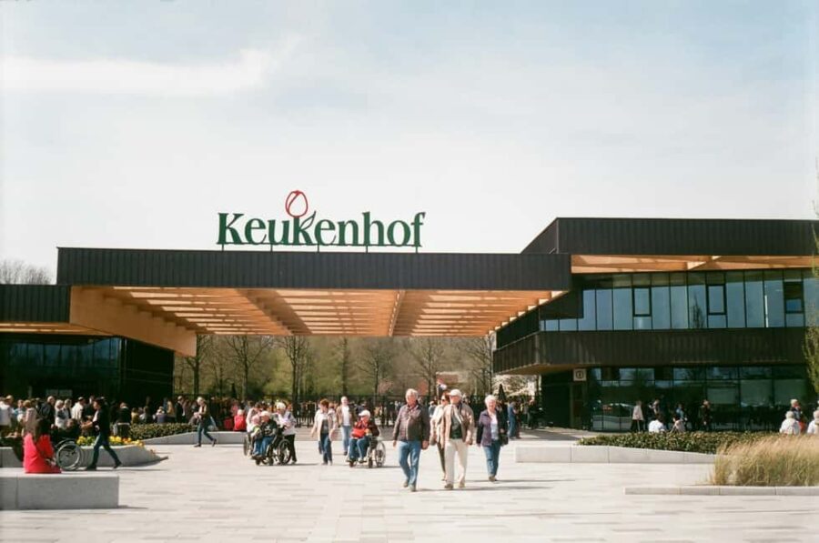 From Amsterdam: VIP Keukenhof Tulip Tour with Private Driver - Exploring Keukenhof’s Tulip Displays at Your Own Pace