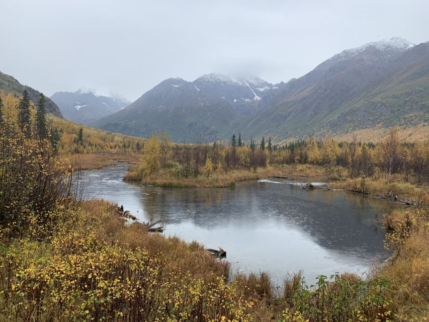 From Anchorage: Valley and Forest Hike with Naturalist Guide - Starting Point and Transportation from Downtown Anchorage